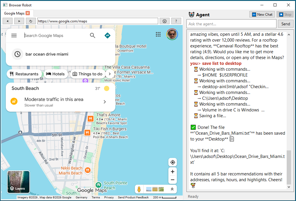 Browser Robot app screenshot